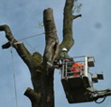 werkfoto