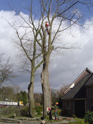 werkfoto