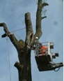 werkfoto
