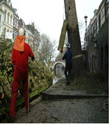 werkfoto